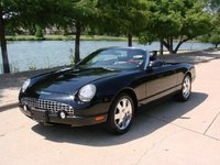 Thunderbird Thunderbird