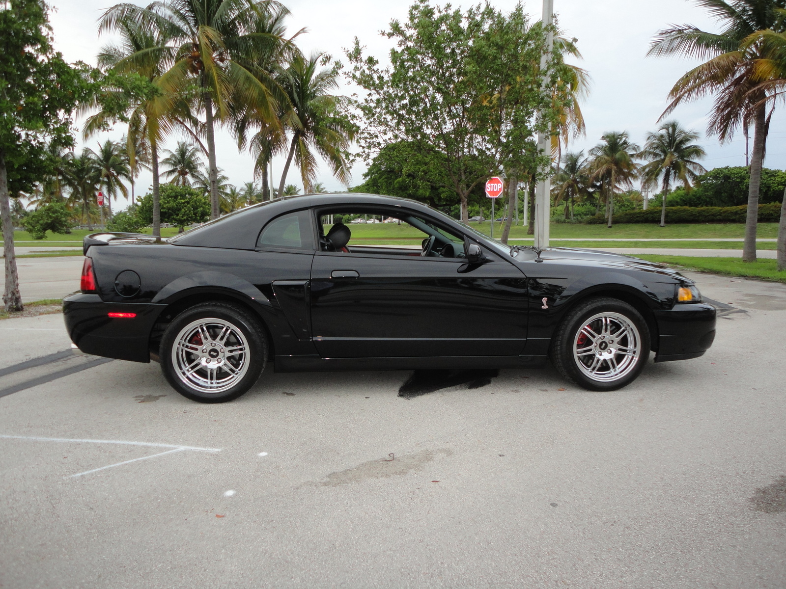 1995 Ford mustang cobra supercharger #9