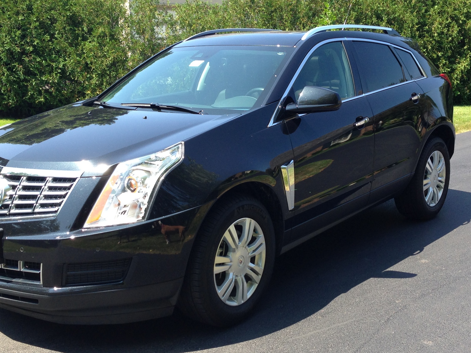 2013 Cadillac SRX - Pictures - CarGurus