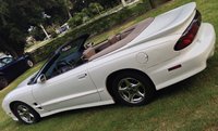 Firebird Firebird