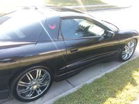 Firebird Firebird