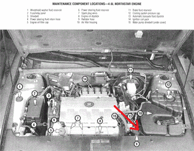 Cadillac DeVille Questions - Can't find the Transmission Fluid Filler ...