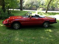 1987 Alfa Romeo Spider Pictures Cargurus