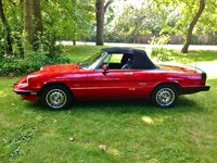 1987 Alfa Romeo Spider Pictures Cargurus