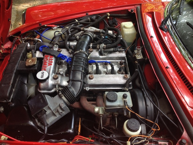 1987 Alfa Romeo Spider Pictures Cargurus