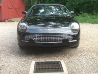 Thunderbird Thunderbird
