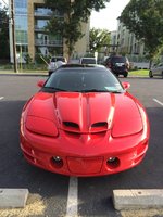 Firebird Firebird