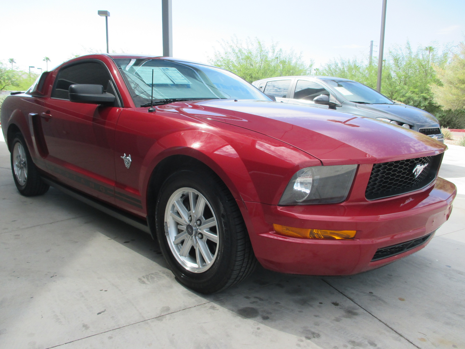 2009 Ford Mustang - Pictures - CarGurus