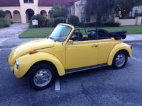 Super Beetle Super Beetle