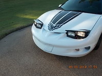 Firebird Firebird