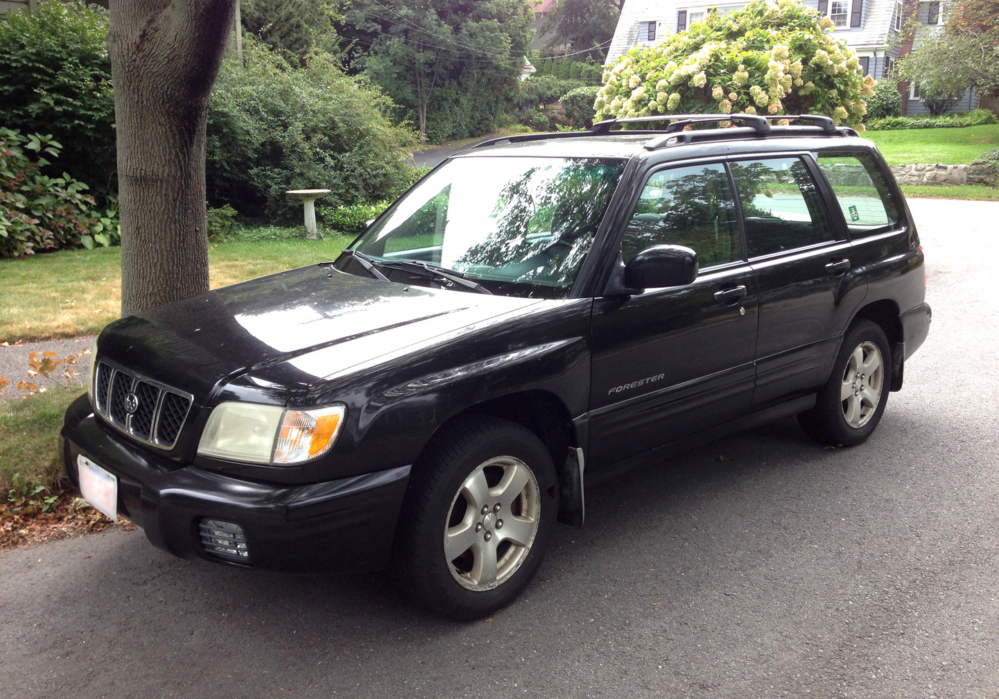 Forester 2001