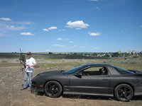 Firebird Firebird