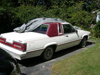 Thunderbird Thunderbird
