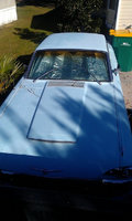 Thunderbird Thunderbird