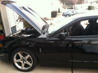 Mustang SVT Cobra Mustang SVT Cobra