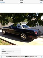 Thunderbird Thunderbird