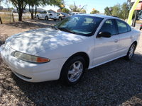 Alero Alero