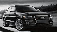 2015 Audi SQ5 Overview