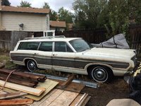 Country Squire