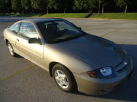 Cavalier Cavalier