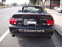 Mustang SVT Cobra Mustang SVT Cobra