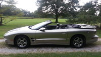 Firebird Firebird