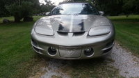 Firebird Firebird