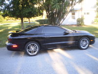 Firebird Firebird