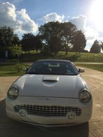 Thunderbird Thunderbird
