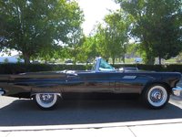 Thunderbird Thunderbird