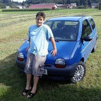 1998 Renault Twingo Overview 1998 Renault Twingo Overview