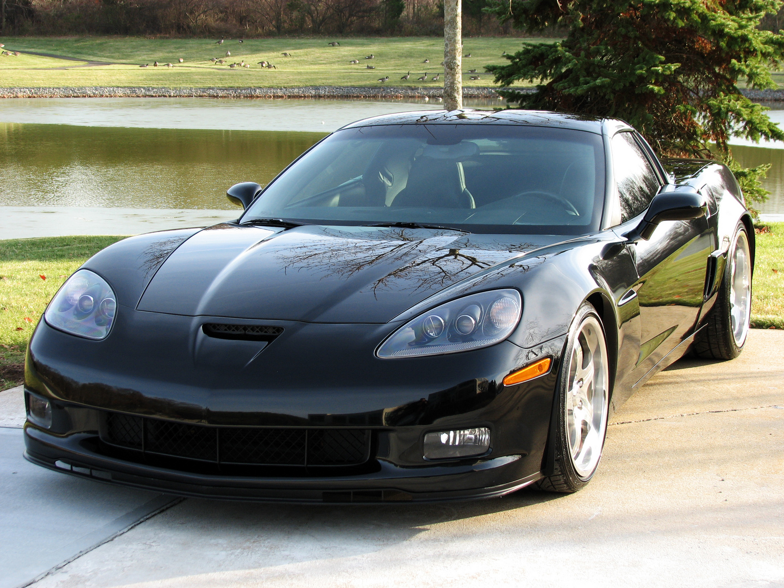 Chevrolet Corvette 2005