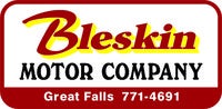 Bleskin Motors logo