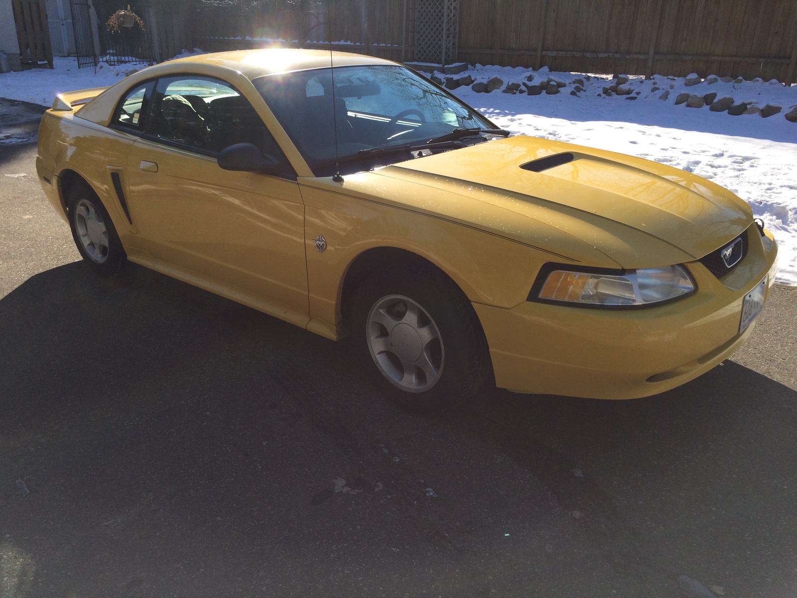 Average price 1999 ford mustang #8