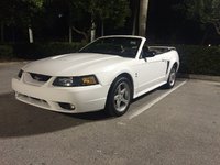 Mustang SVT Cobra Mustang SVT Cobra
