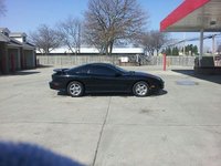 Firebird Firebird