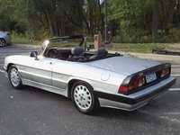 1987 Alfa Romeo Spider Pictures Cargurus