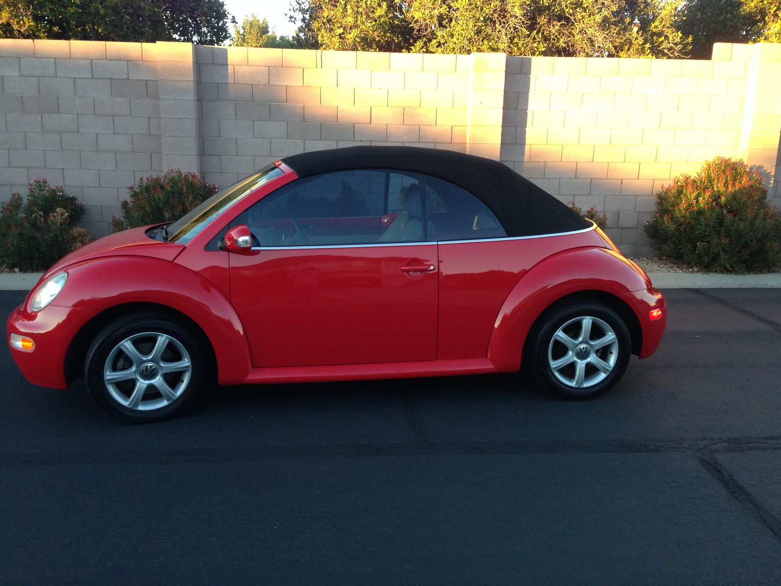 2004 Volkswagen Beetle - Overview - CarGurus