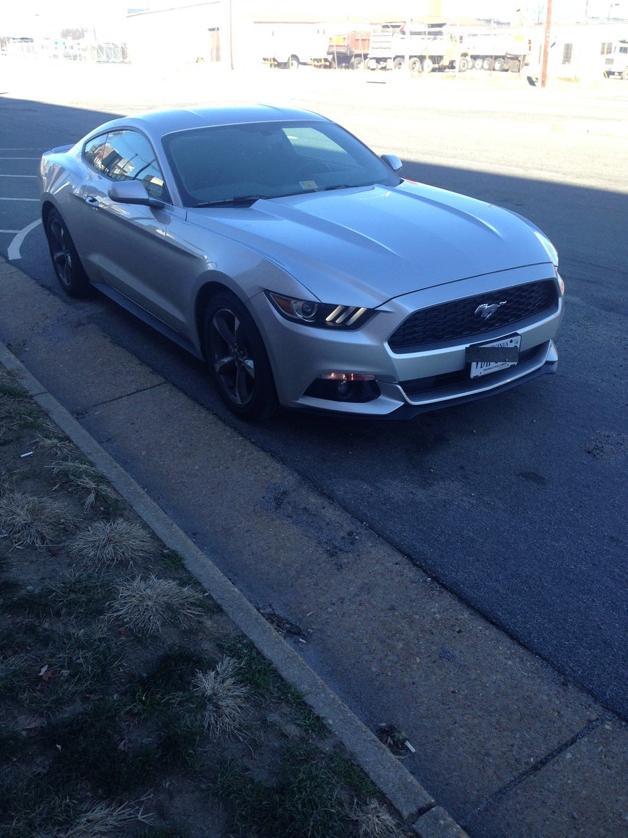 2015 Mustang Gt For Sale Cargurus