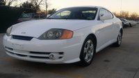 Tiburon Tiburon