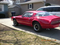 Firebird Firebird