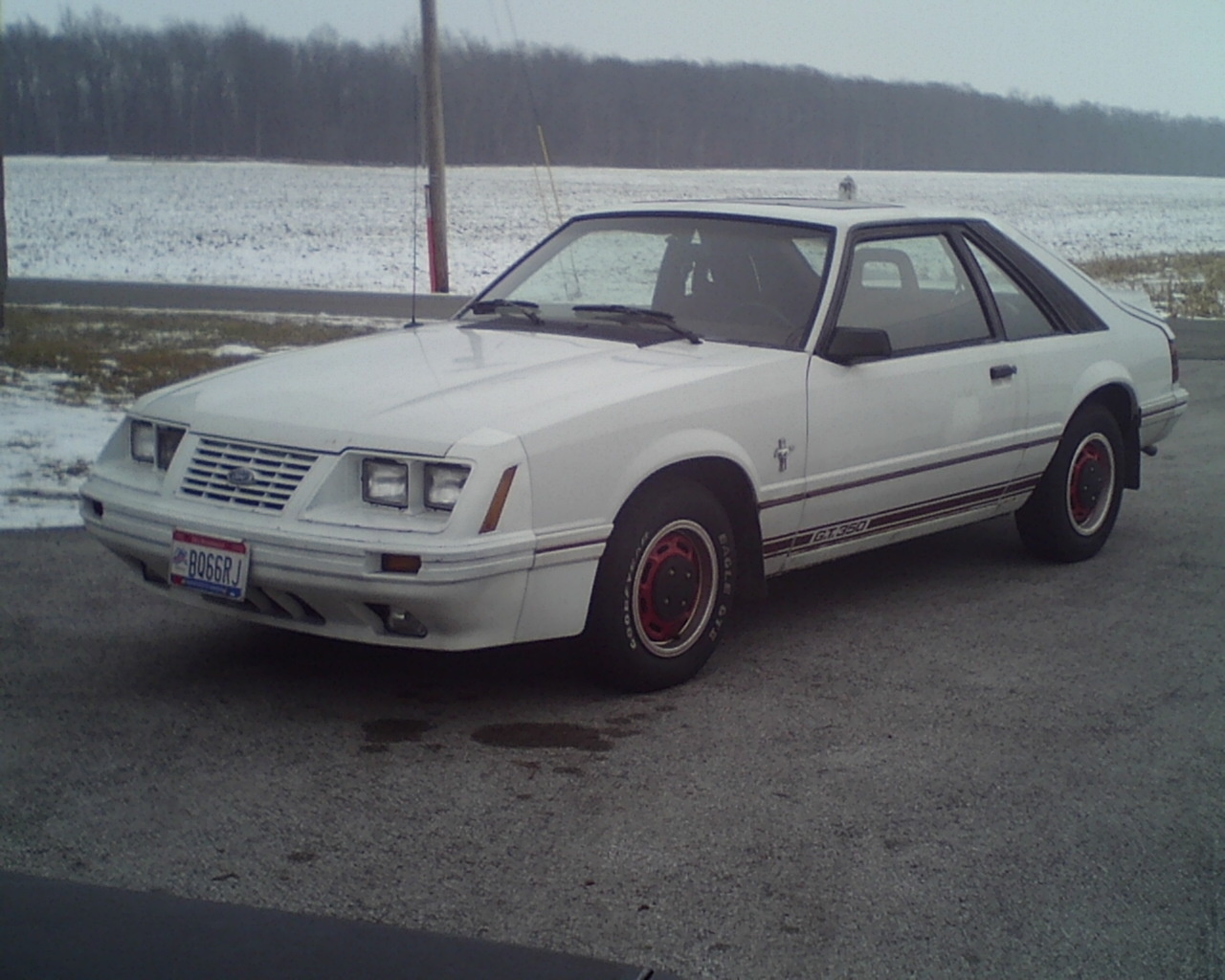 1984 Ford mustangs #6