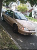 Cavalier Cavalier