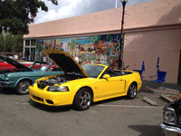 Mustang SVT Cobra Mustang SVT Cobra
