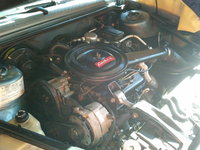 Chevrolet Celebrity 1985 Chevrolet Celebrity 1985