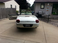 Thunderbird Thunderbird