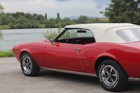 Firebird Firebird