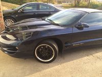 Firebird Firebird