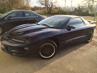 Firebird Firebird