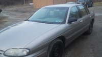 Lumina Lumina